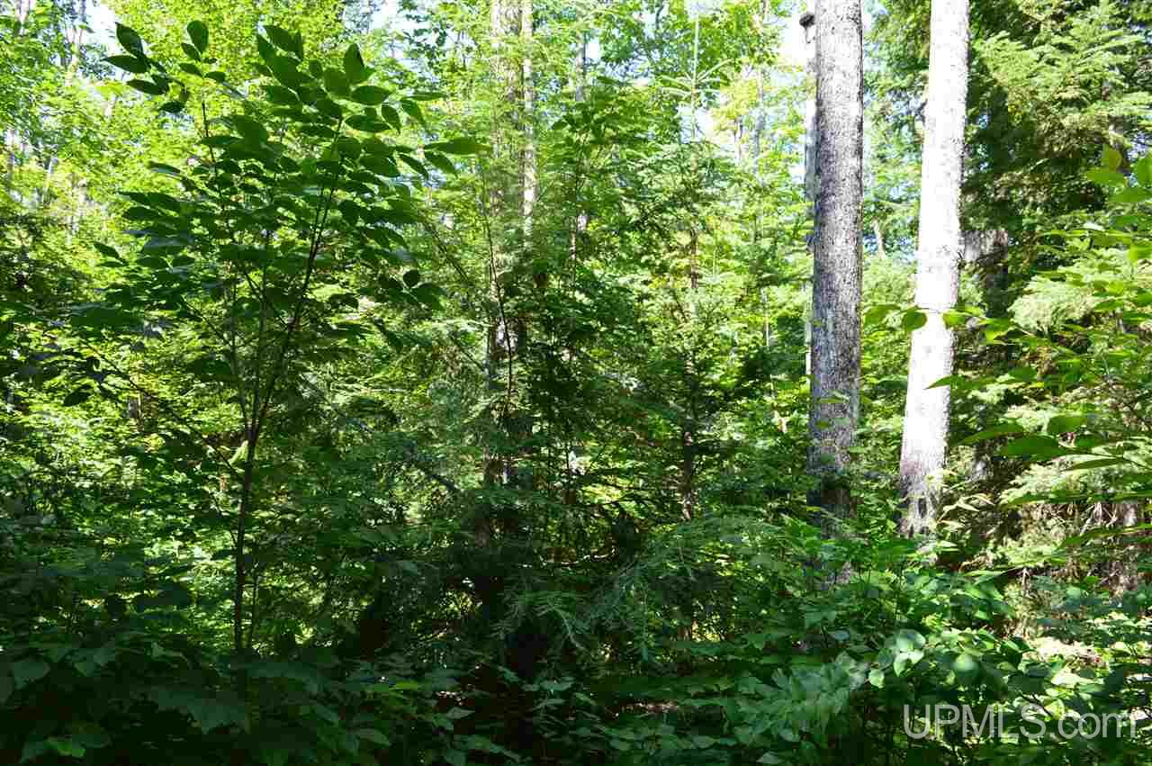 Tbd Lakeview Road Toivola, MI 49965 - Photo 15 of 43 Gallery Image 15