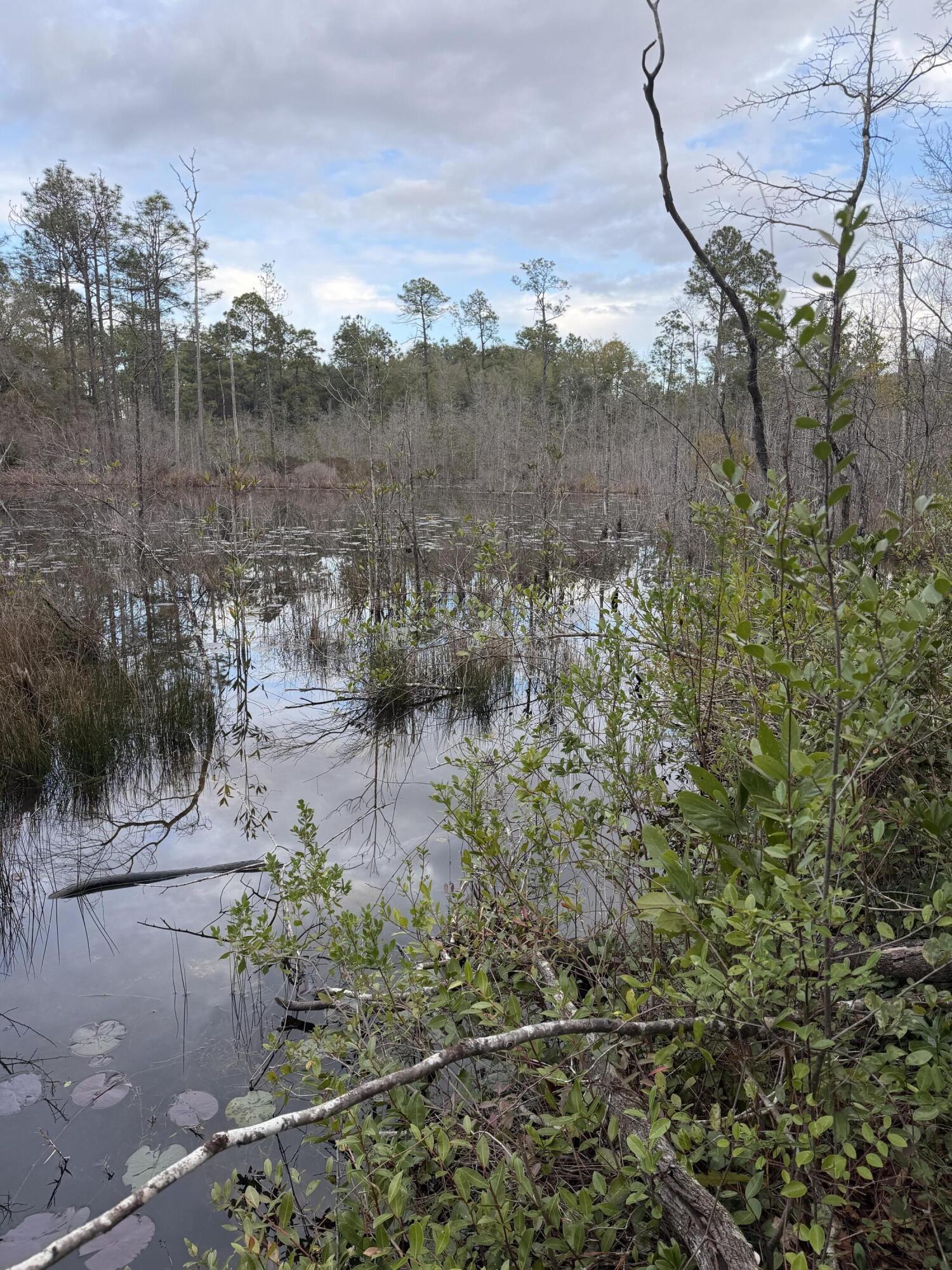 X Blue Ridge Boulevard DeFuniak Springs, FL 32433 - Photo 4 of 7 a view of lake