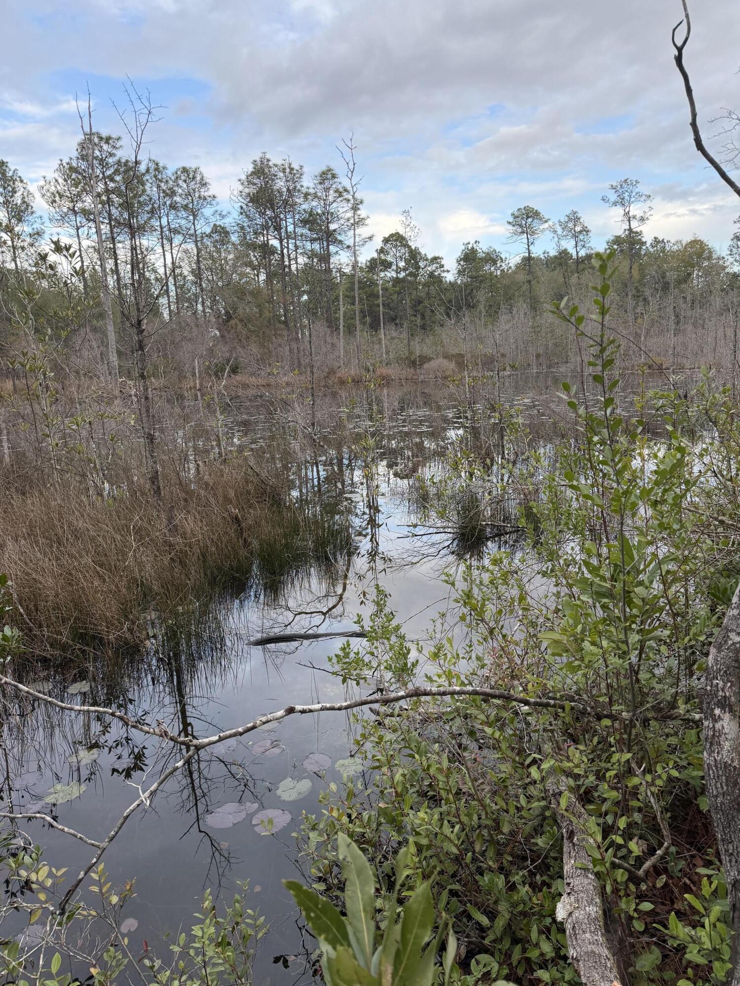 X Blue Ridge Boulevard DeFuniak Springs, FL 32433 - Photo 6 of 7 a view of lot of trees and houses