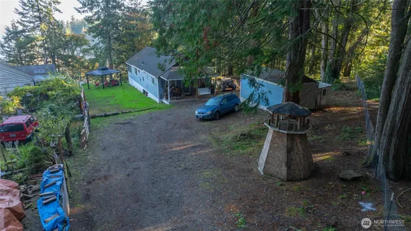 a view of a park with large trees