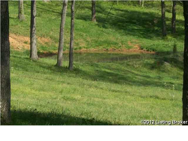 6260 Old State Road Guston, KY 40142 - Photo 21 of 23 Additional Photo