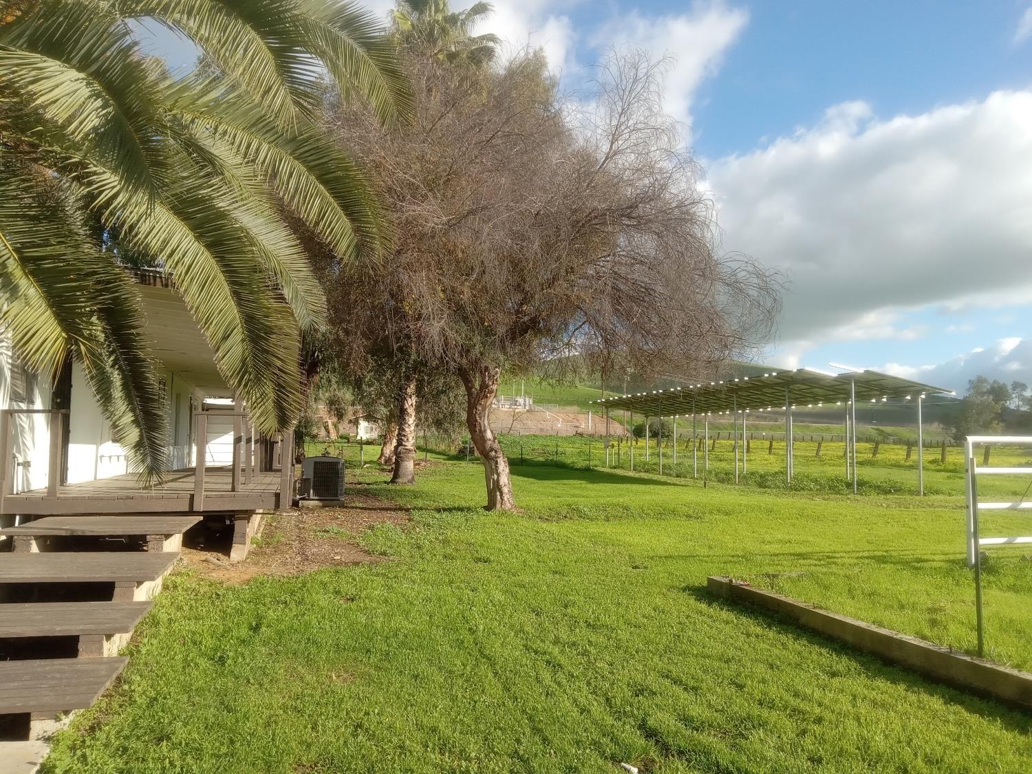 602 South Spruce Road Exeter, CA 93221 - Photo 14 of 28 a view of yard with swimming pool and green space