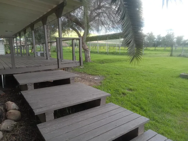a view of a park with large trees