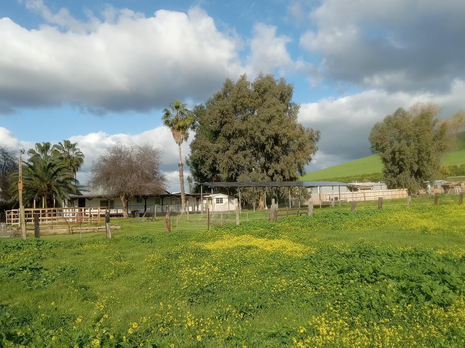 602 South Spruce Road Exeter, CA 93221 - Photo 10 of 28 a view of a park with large trees