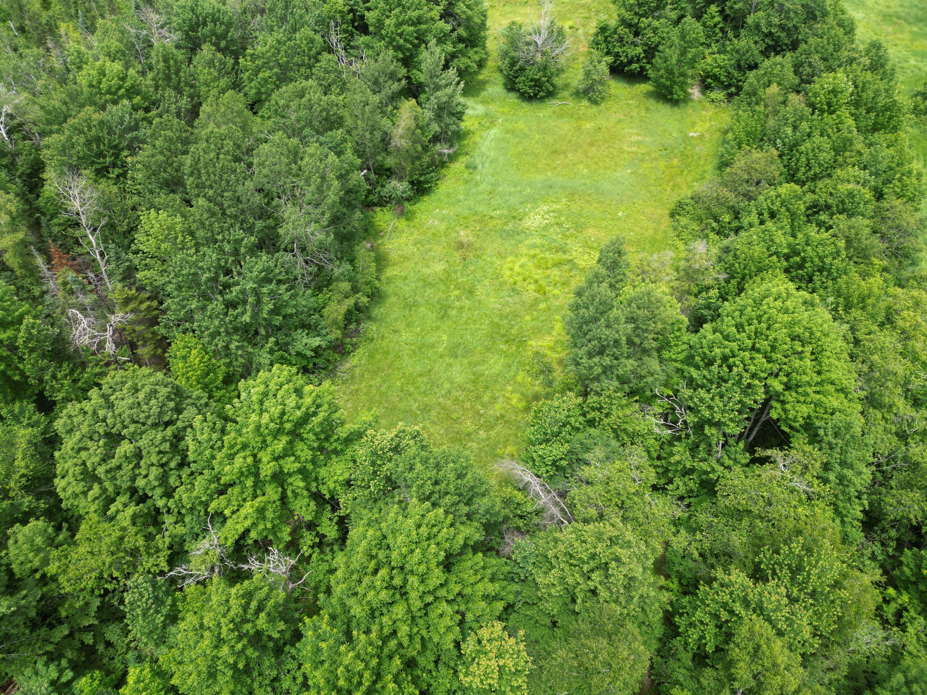 Lot 2 Main Road Carroll Plt, ME 04487 - Photo 11 of 14 DJI_0762