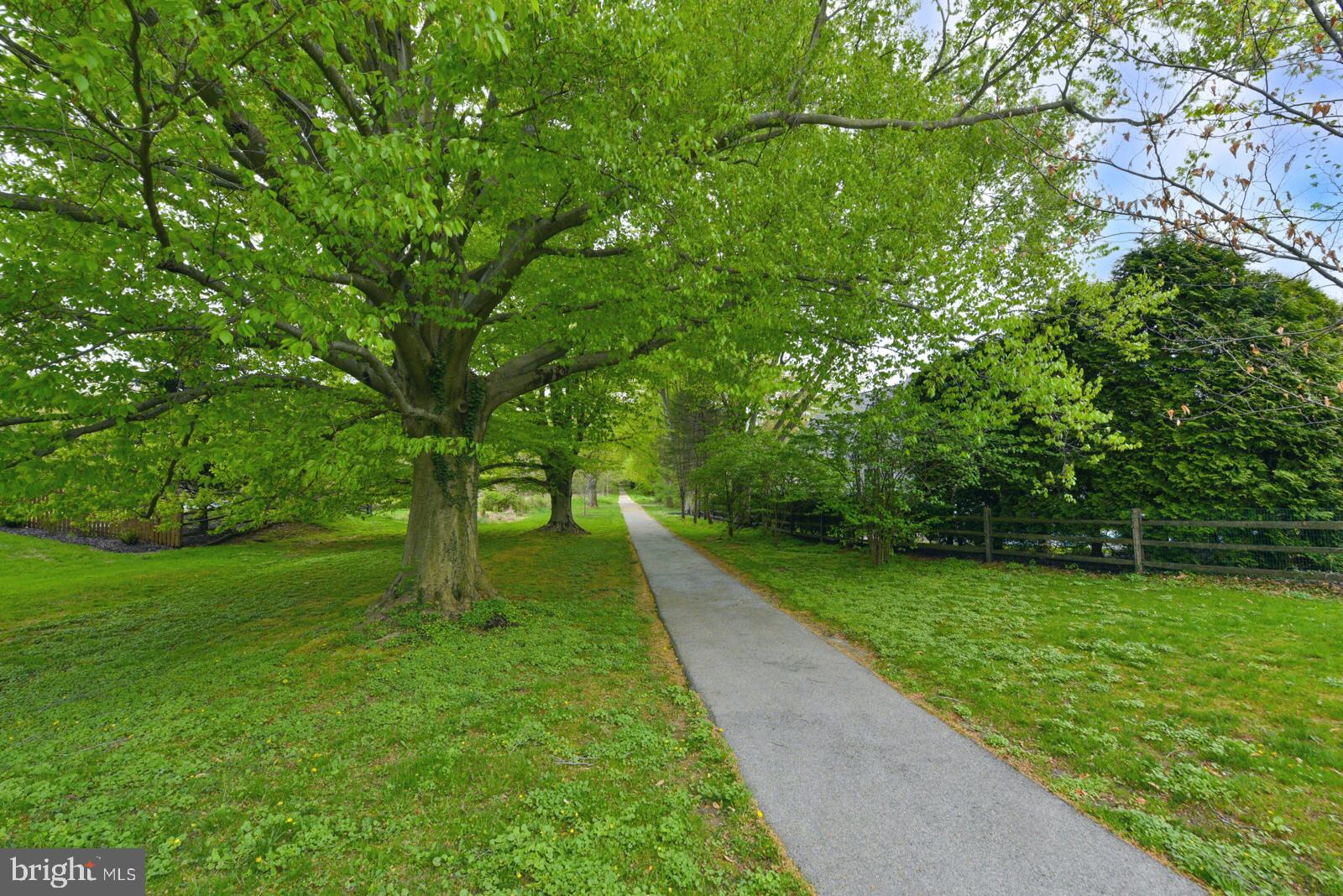 807 Caldwell Road Wayne, PA 19087 - Photo 4 of 54 Beechtree Lane