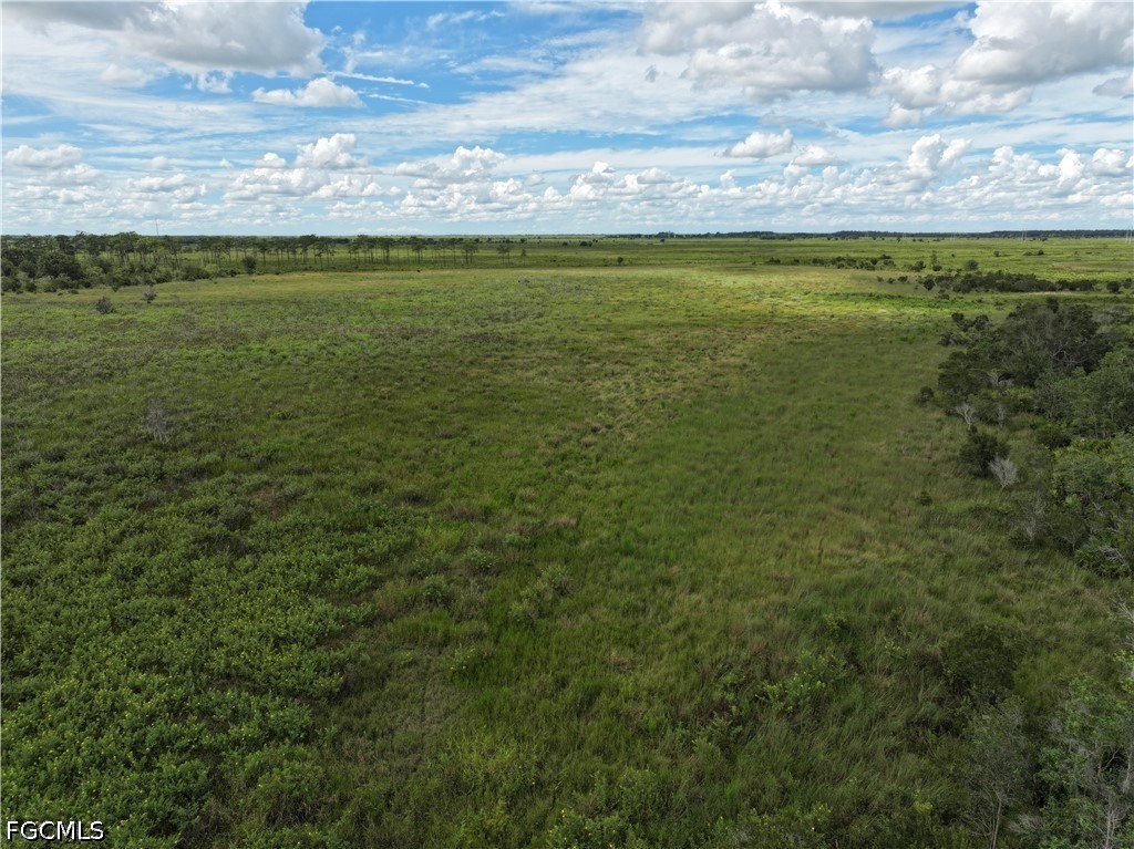 0 County Line Road East Bowling Green, FL 33834 - Photo 6 of 20