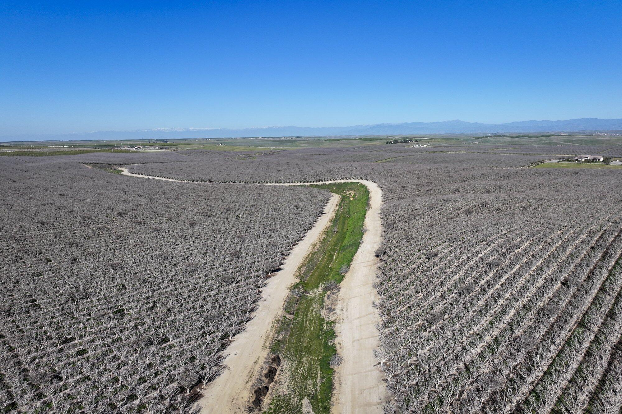 Quality Road Bakersfield, CA 93308 - Photo 6 of 12 2025-02-24-Schuil-Farms-for-Sale-Mcfarla