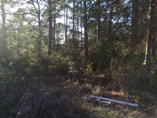 381 River Road Carrabelle, FL 32322 - Photo 2 of 4 Gallery Image 2
