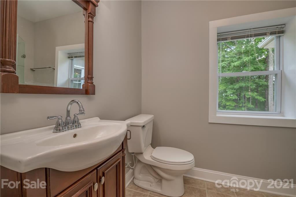 196 Caledonia Road Landrum, SC 29356 - Photo 11 of 26 a bathroom with a sink a toilet and a mirror