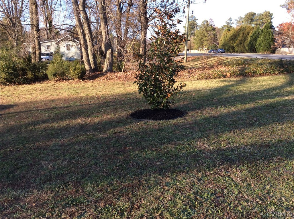 700 Courthouse Road North Chesterfield, VA 23236 - Photo 30 of 47 a view of dirt yard with a large tree