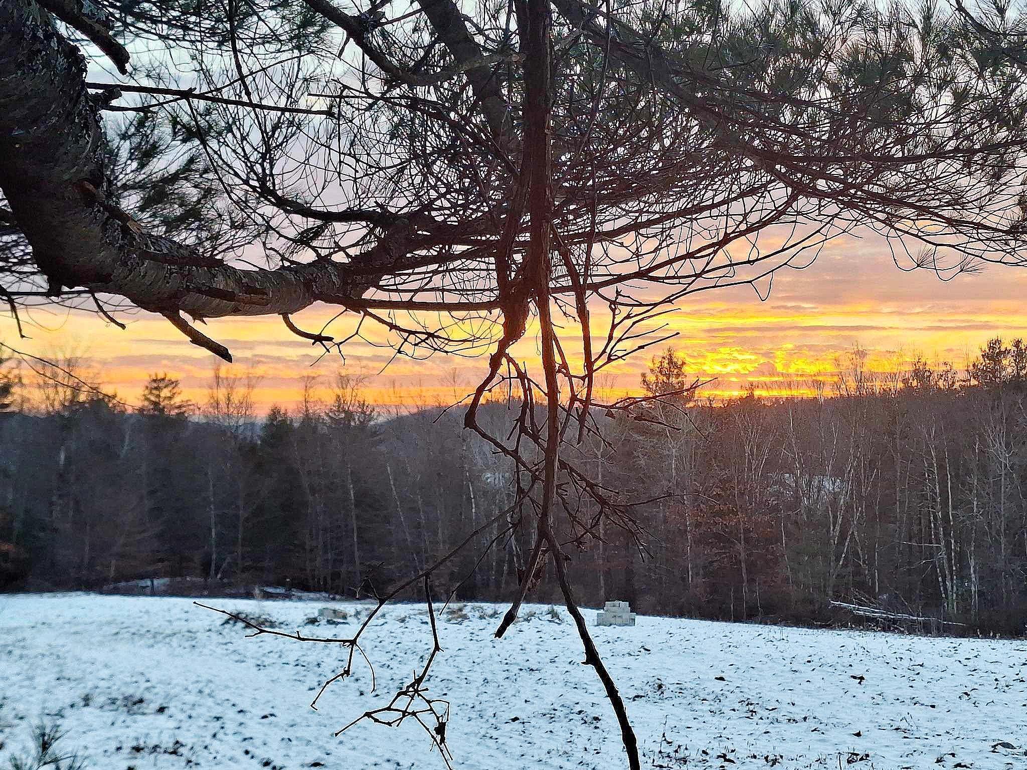 0 Brook Road Springfield, VT 05156 - Photo 1 of 16