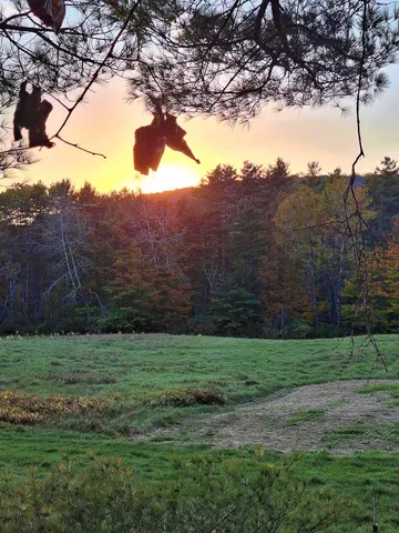 $150,000 | 0 Brook Road, Springfield, VT 05156