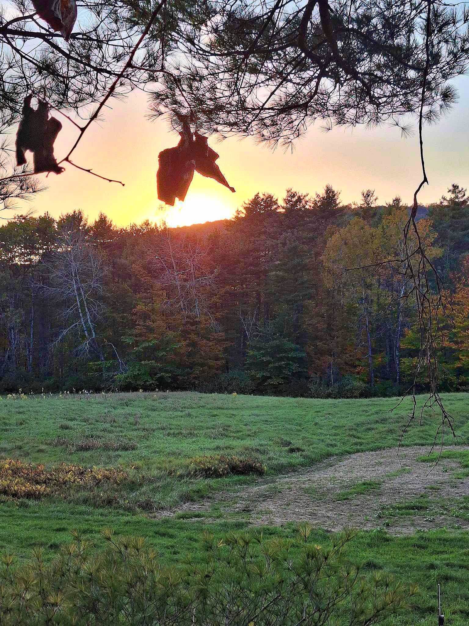 0 Brook Road Springfield, VT 05156 - Photo 2 of 16