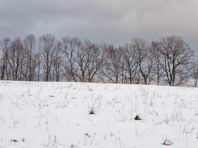 $150,000 | 0 Brook Road, Springfield, VT 05156