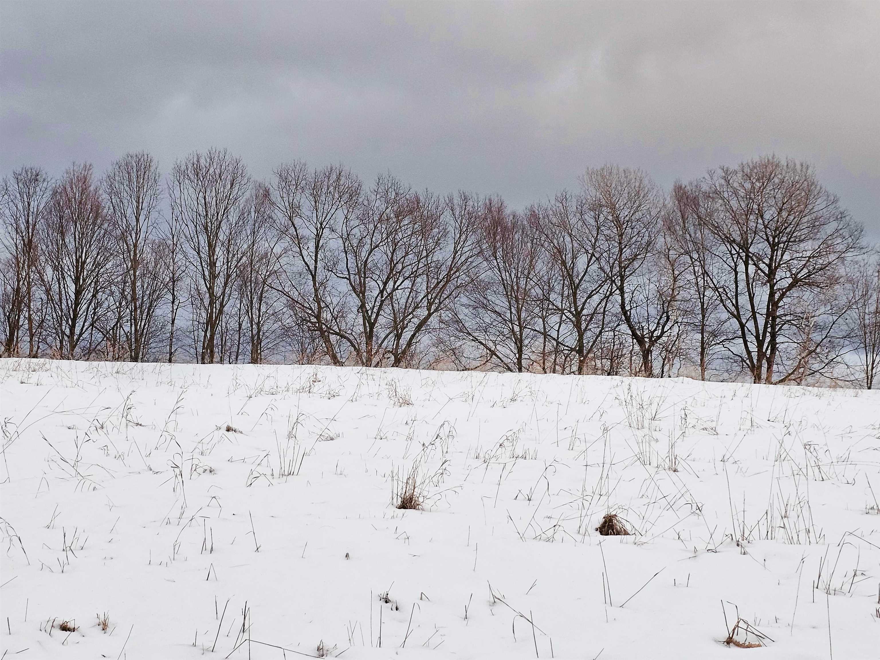 0 Brook Road Springfield, VT 05156 - Photo 6 of 16