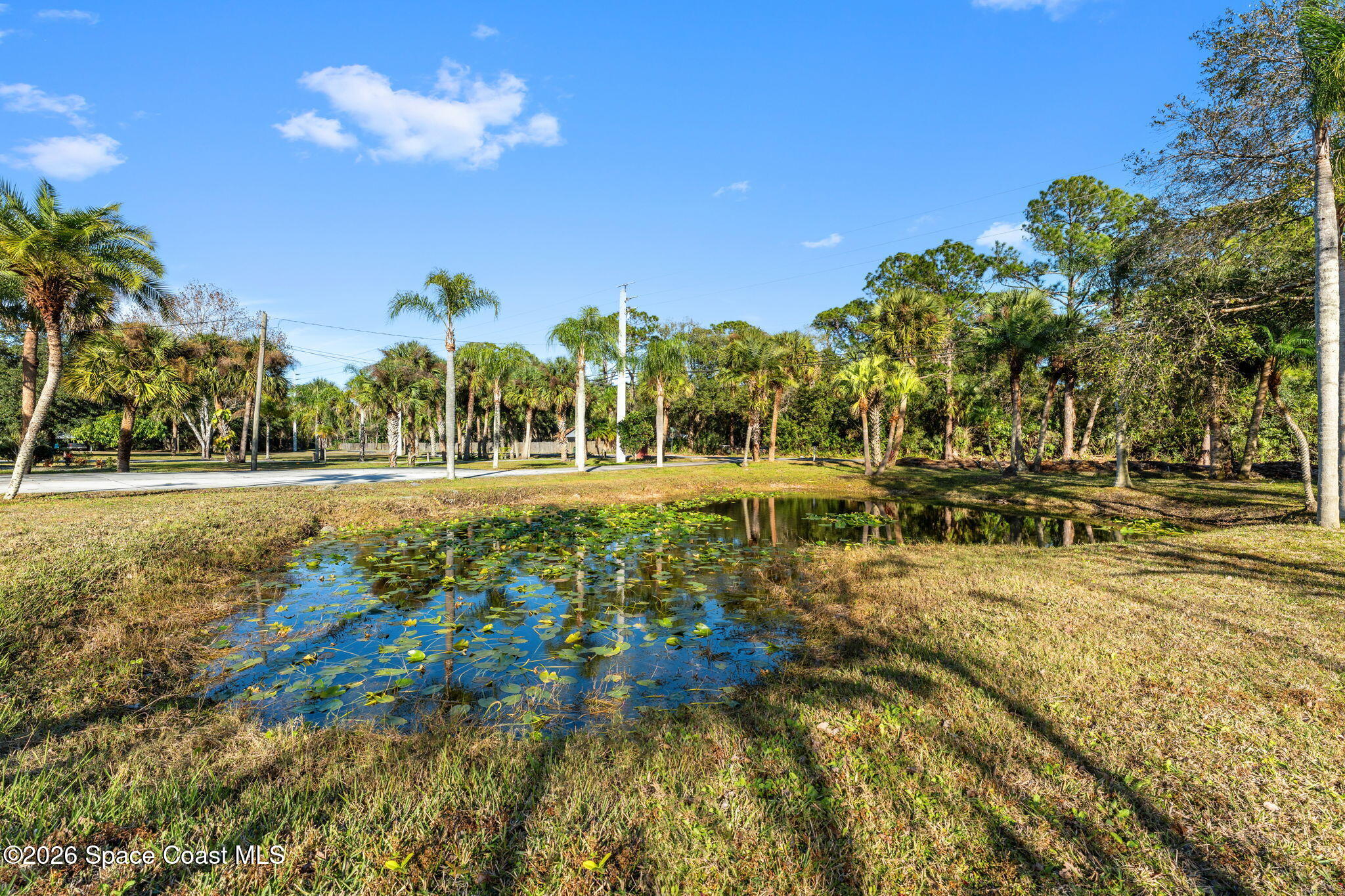 4250 Pine Street Cocoa, FL 32926 - Photo 23 of 30 a view of yard with tree