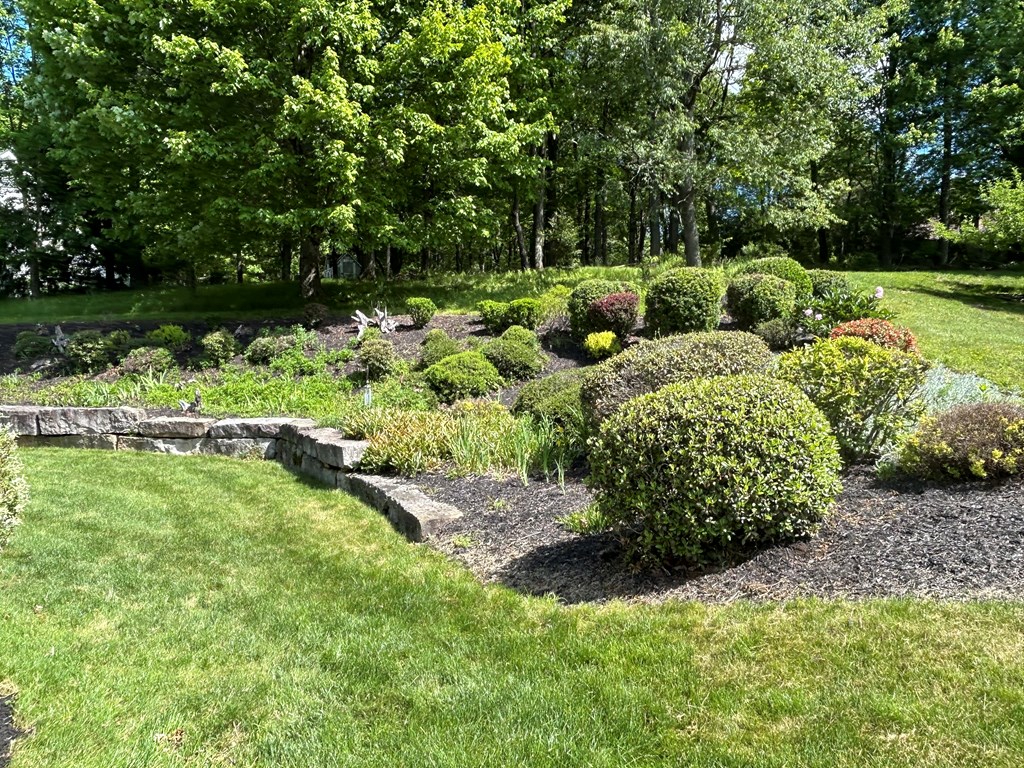 114 Oak Ridge Drive Clarion, PA 16214 - Photo 3 of 38 a view of a garden with a lake