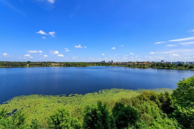 a view of a lake from a yard