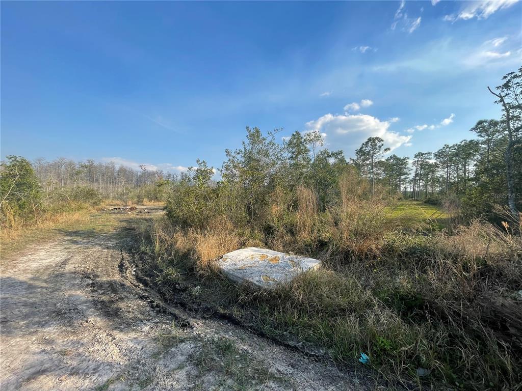 Concord Rd Street St. Cloud, FL 34773 - Photo 3 of 5