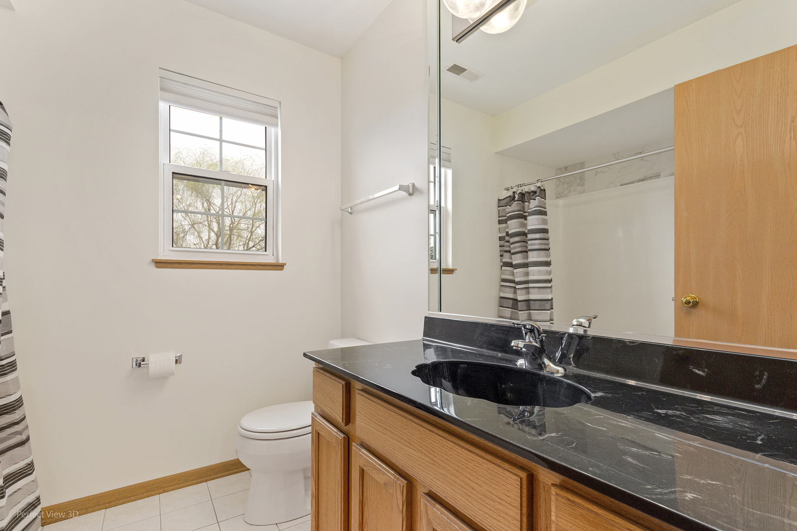 4709 West Iris Lane Monee, IL 60449 - Photo 13 of 28 a bathroom with a sink and a toilet