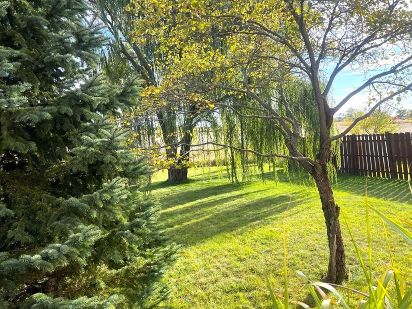4709 West Iris Lane Monee, IL 60449 - Photo 26 of 28 a view of yard with swimming pool