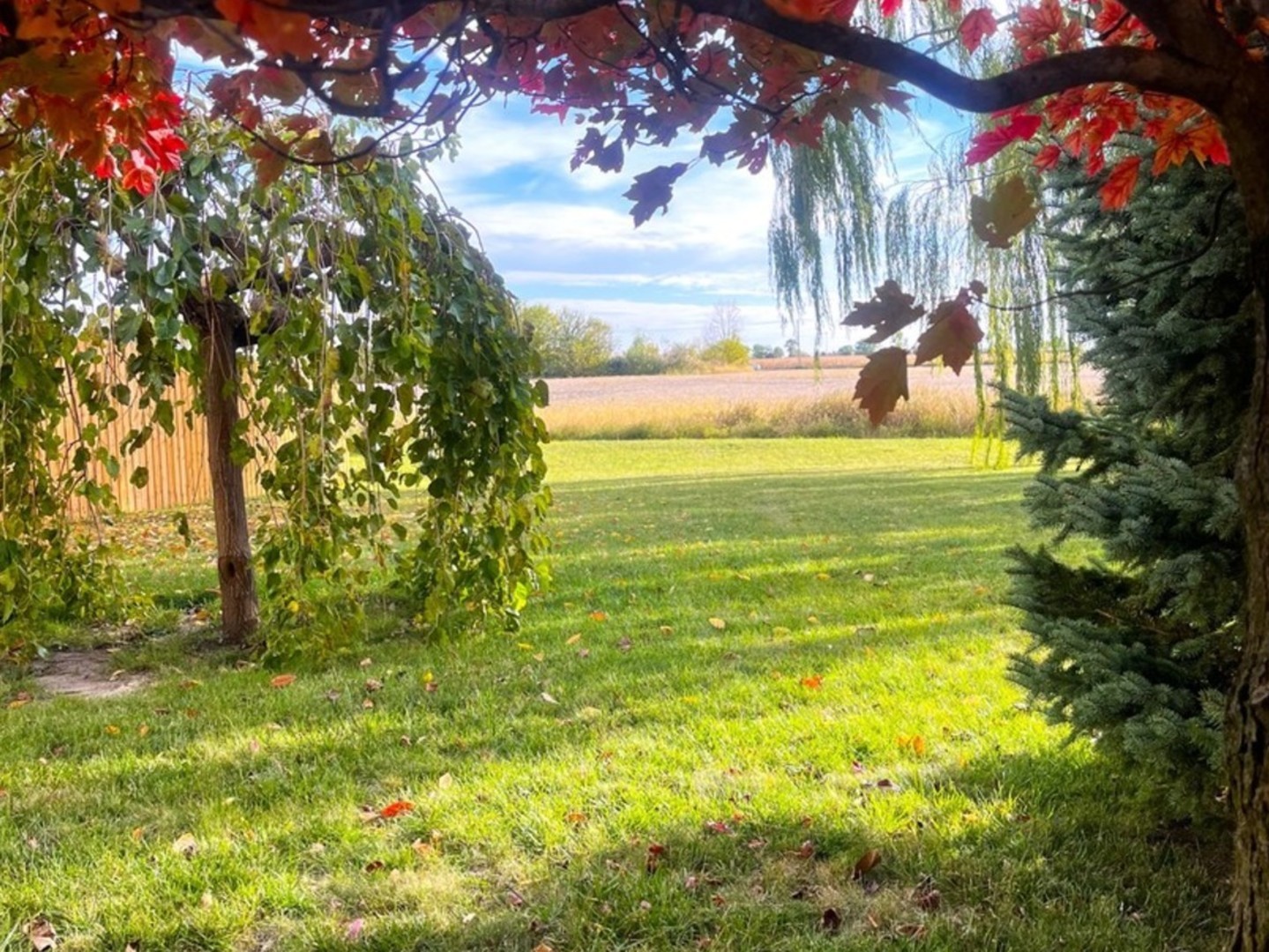 4709 West Iris Lane Monee, IL 60449 - Photo 27 of 28 a view of a yard with an tree