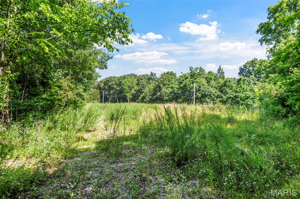 9-acres Timber Ridge Drive Marthasville, MO 63357 - Photo 8 of 22
