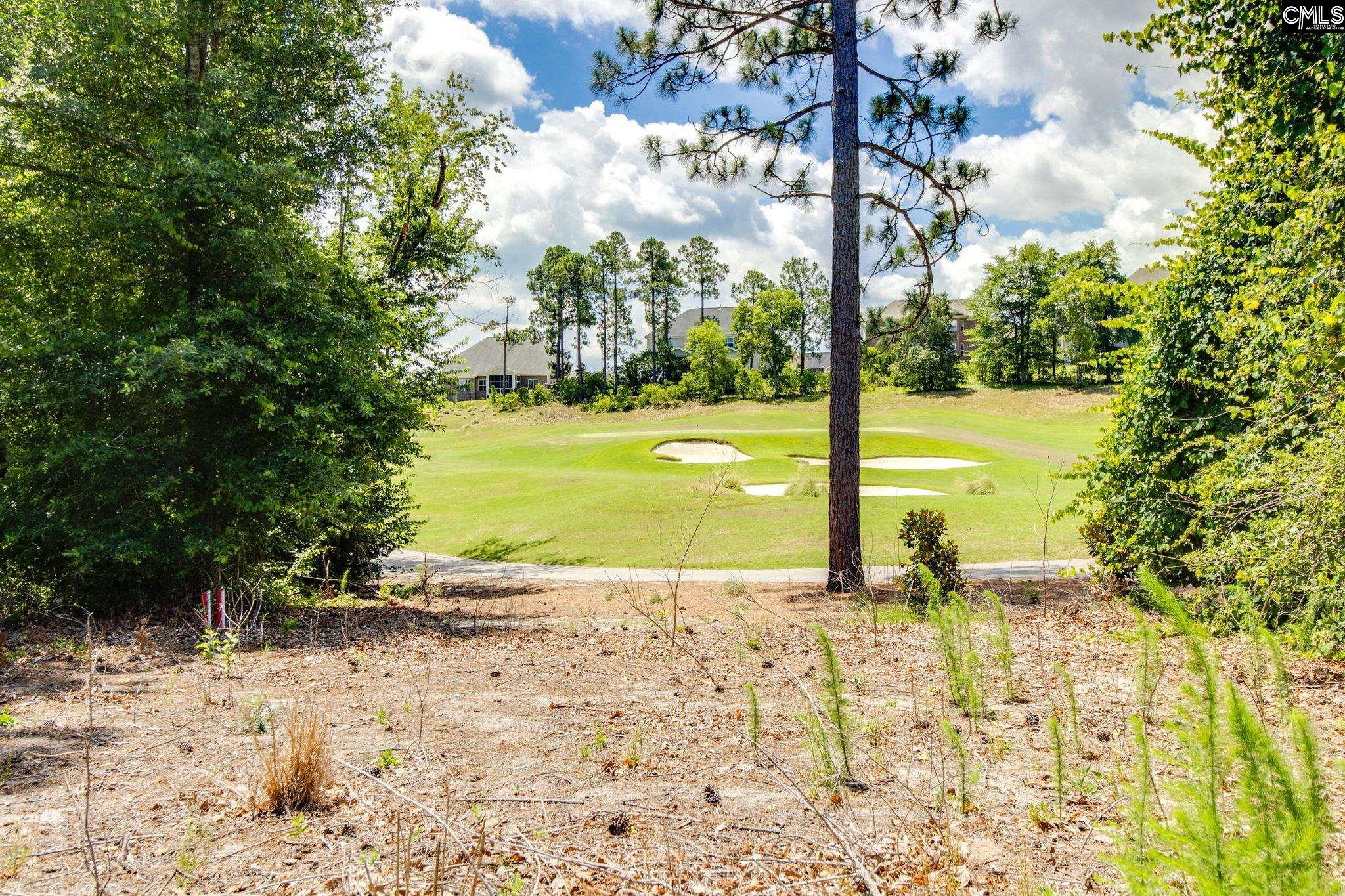 166 Backspin Drive Elgin, SC 29045 - Photo 29 of 55
