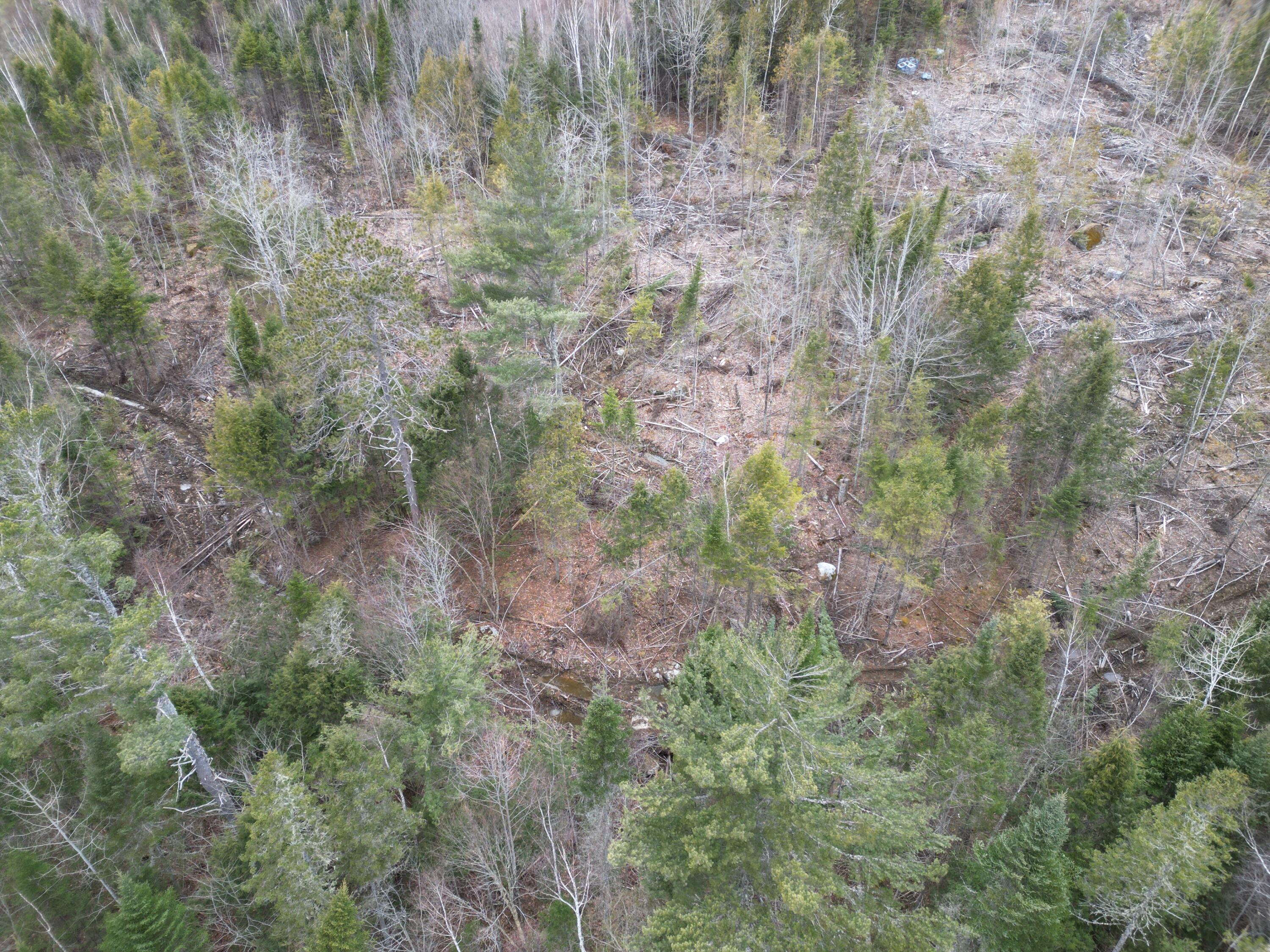 Lot 4 Bill Green Pond Road Lee, ME 04455 - Photo 8 of 16 DJI_0923