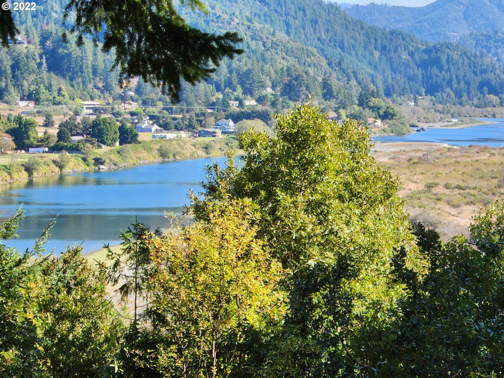 95175 Marchmont Road Gold Beach, OR 97444 - Photo 3 of 32 a view of a backyard of a house