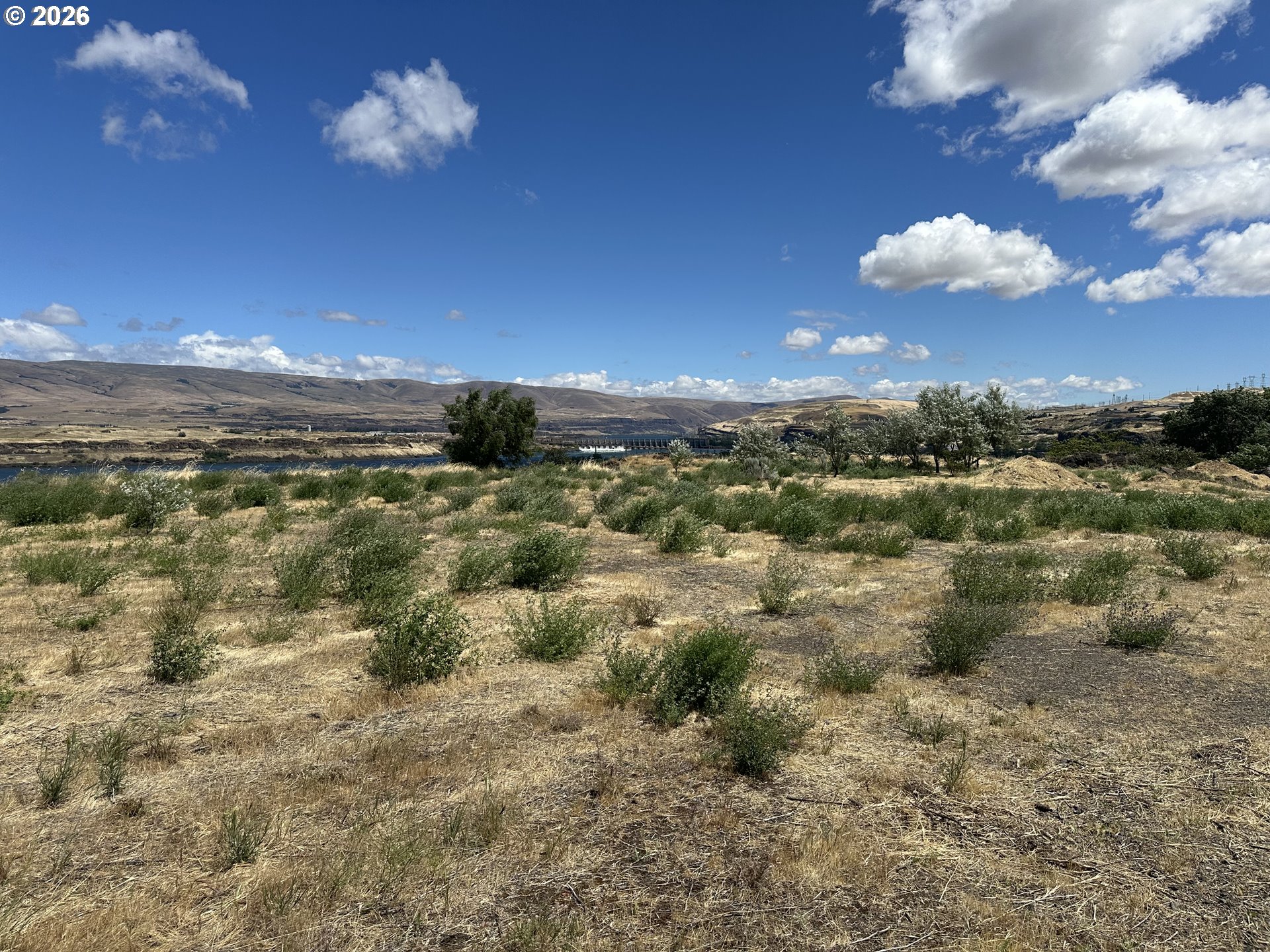 East 9th The Dalles, OR 97058 - Photo 3 of 10