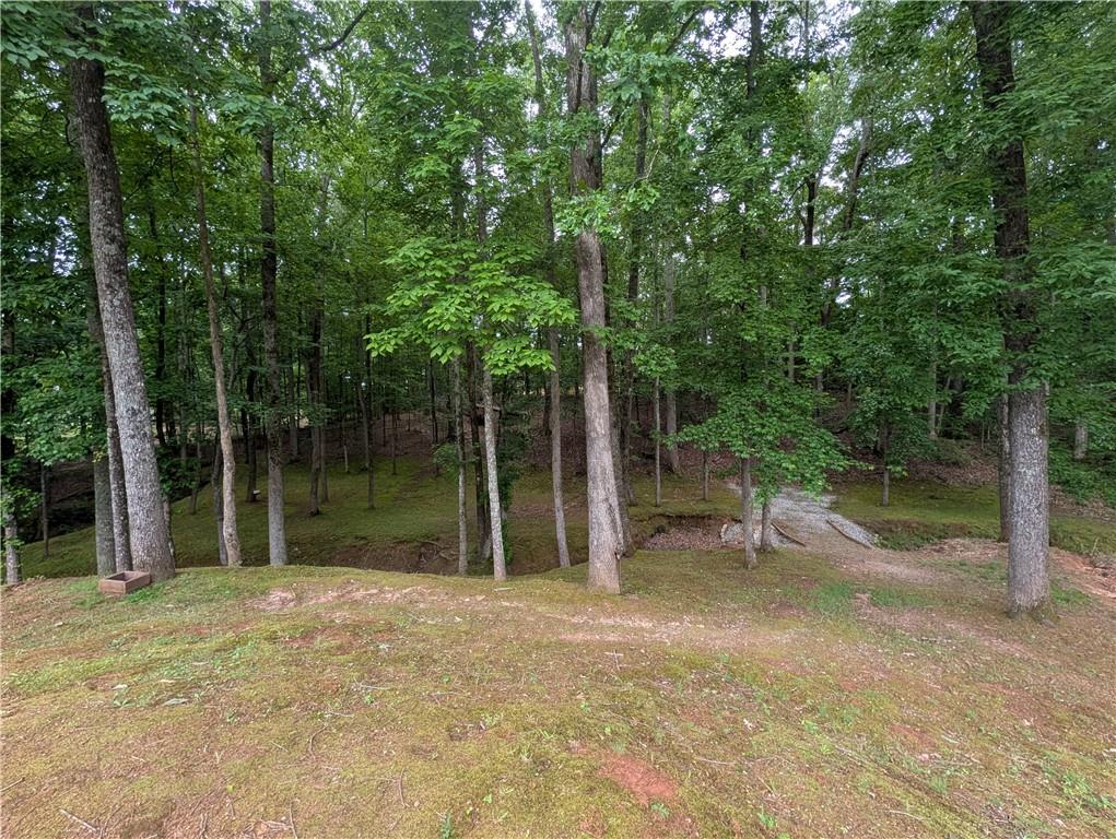 187 Cedar Ridge Road Locust Grove, GA 30248 - Photo 39 of 47 Gallery Image 39