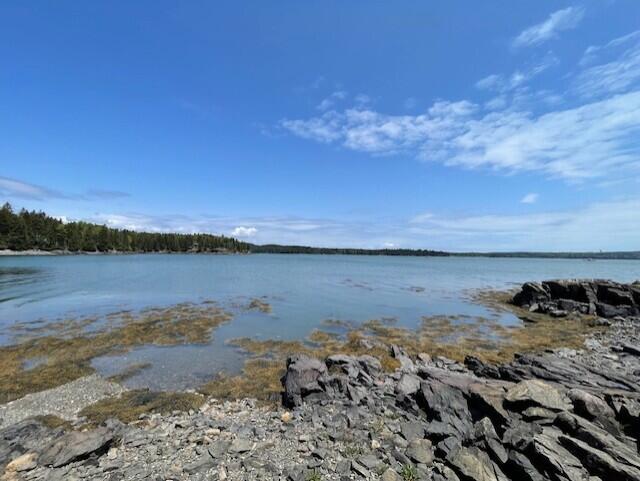 Lot #139 Duck Cove Road Roque Bluffs, ME 04654 - Photo 11 of 14 thumbnail_IMG_4356