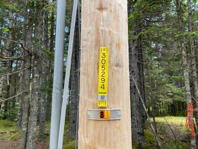 $120,000 | Lot #139 Duck Cove Road, Roque Bluffs, ME 04654