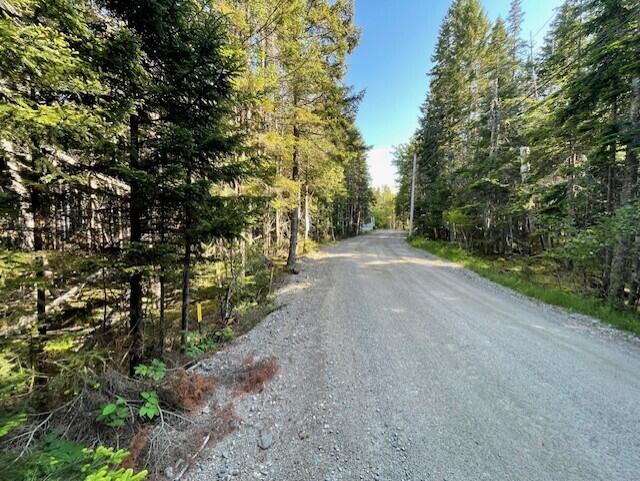 Lot #139 Duck Cove Road Roque Bluffs, ME 04654 - Photo 14 of 14 thumbnail_IMG_4364