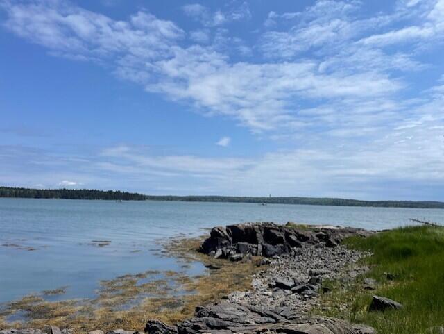 Lot #139 Duck Cove Road Roque Bluffs, ME 04654 - Photo 2 of 14 thumbnail_IMG_4354