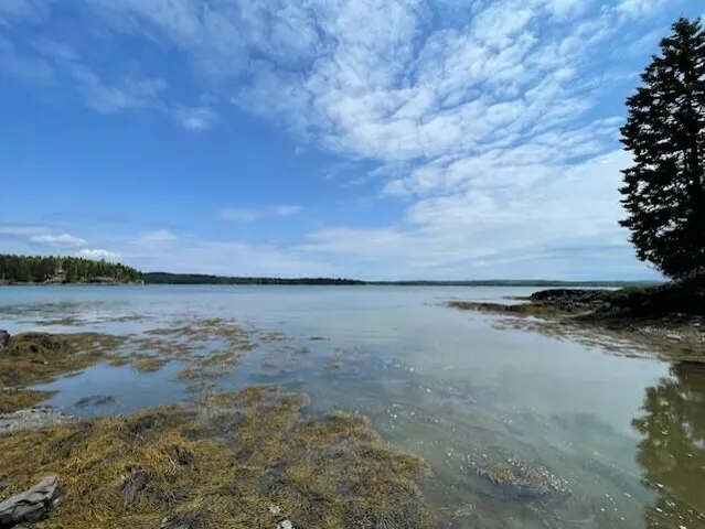 $120,000 | Lot #139 Duck Cove Road, Roque Bluffs, ME 04654