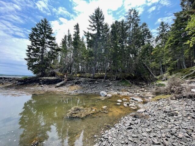 Lot #139 Duck Cove Road Roque Bluffs, ME 04654 - Photo 6 of 14 thumbnail_IMG_4349