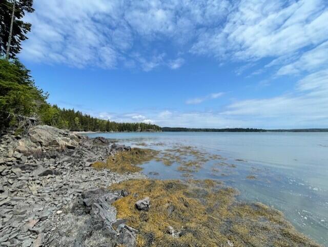 Lot #139 Duck Cove Road Roque Bluffs, ME 04654 - Photo 7 of 14 thumbnail_IMG_4351