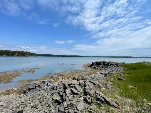 $120,000 | Lot #139 Duck Cove Road, Roque Bluffs, ME 04654