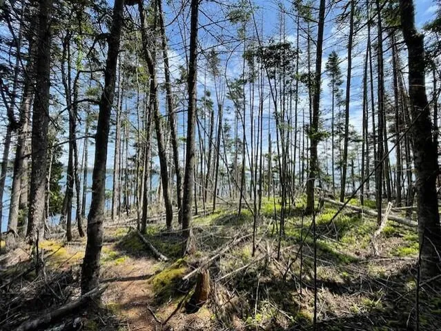 $120,000 | Lot #139 Duck Cove Road, Roque Bluffs, ME 04654