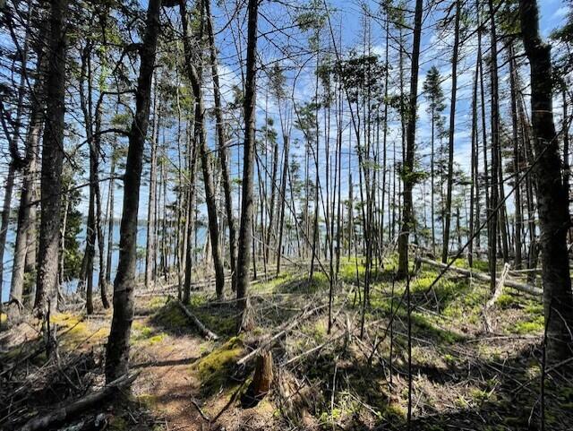 Lot #139 Duck Cove Road Roque Bluffs, ME 04654 - Photo 9 of 14 thumbnail_IMG_4353