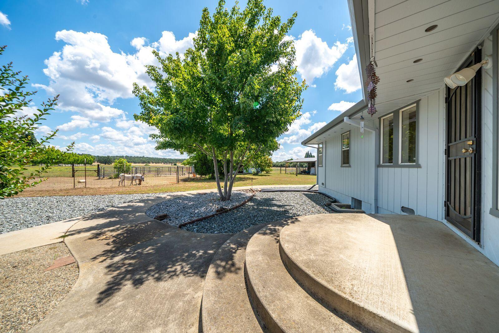 22162 Silver Spur Road Palo Cedro, CA 96073 - Photo 40 of 80 fBR8WVvQ