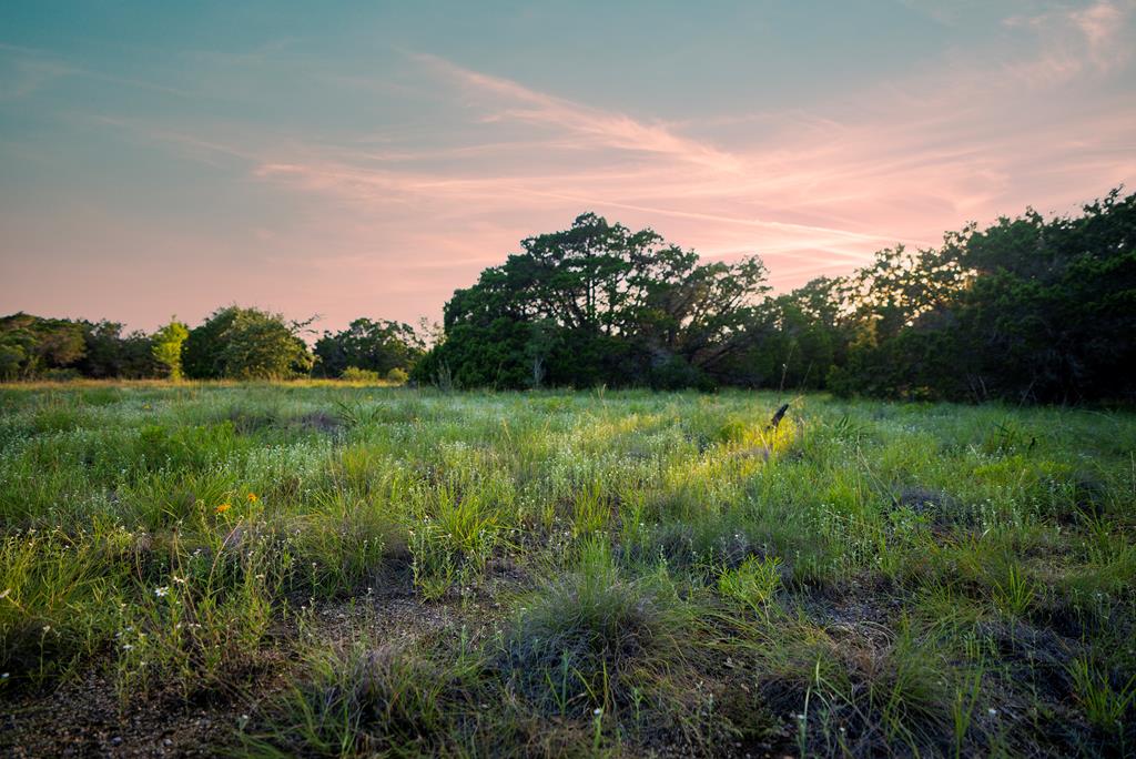 1347 Gold Road Wimberley, TX 78676 - Photo 1 of 39 Main View