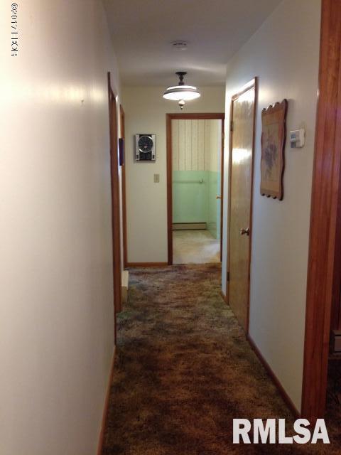 520 South Ferne Clyffe Road Goreville, IL 62939 - Photo 20 of 42 Gallery Image 20