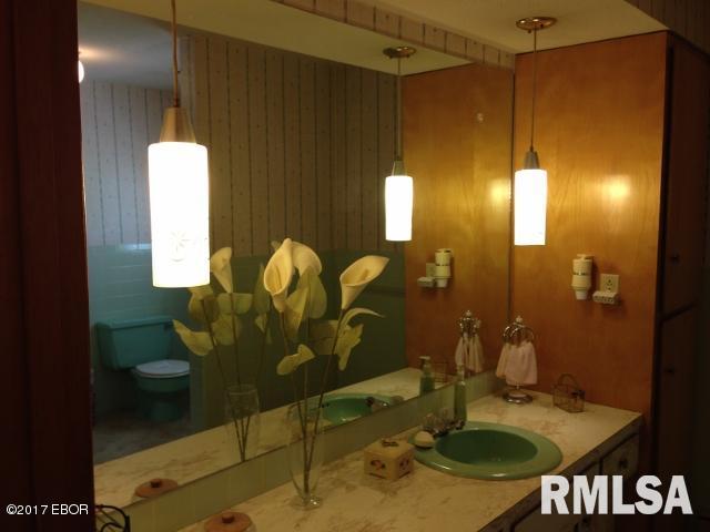 520 South Ferne Clyffe Road Goreville, IL 62939 - Photo 30 of 42 Gallery Image 30