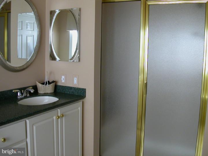 252 Bobwhite Road New Hope, PA 18938 - Photo 14 of 25 Master Bathroom