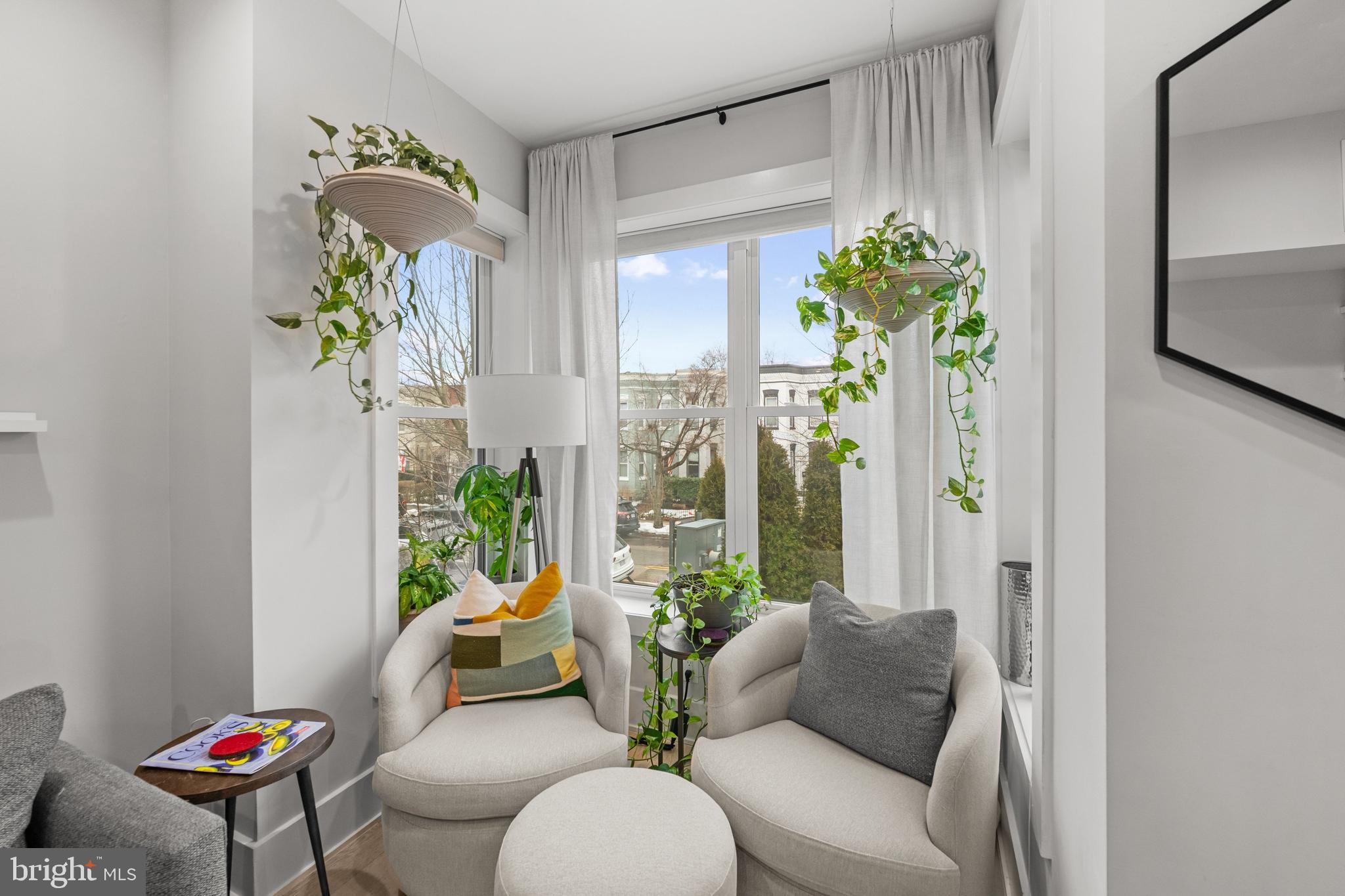1216 I Street Northeast, Unit A Washington, DC 20002 - Photo 5 of 34 a living room with furniture and a potted plant