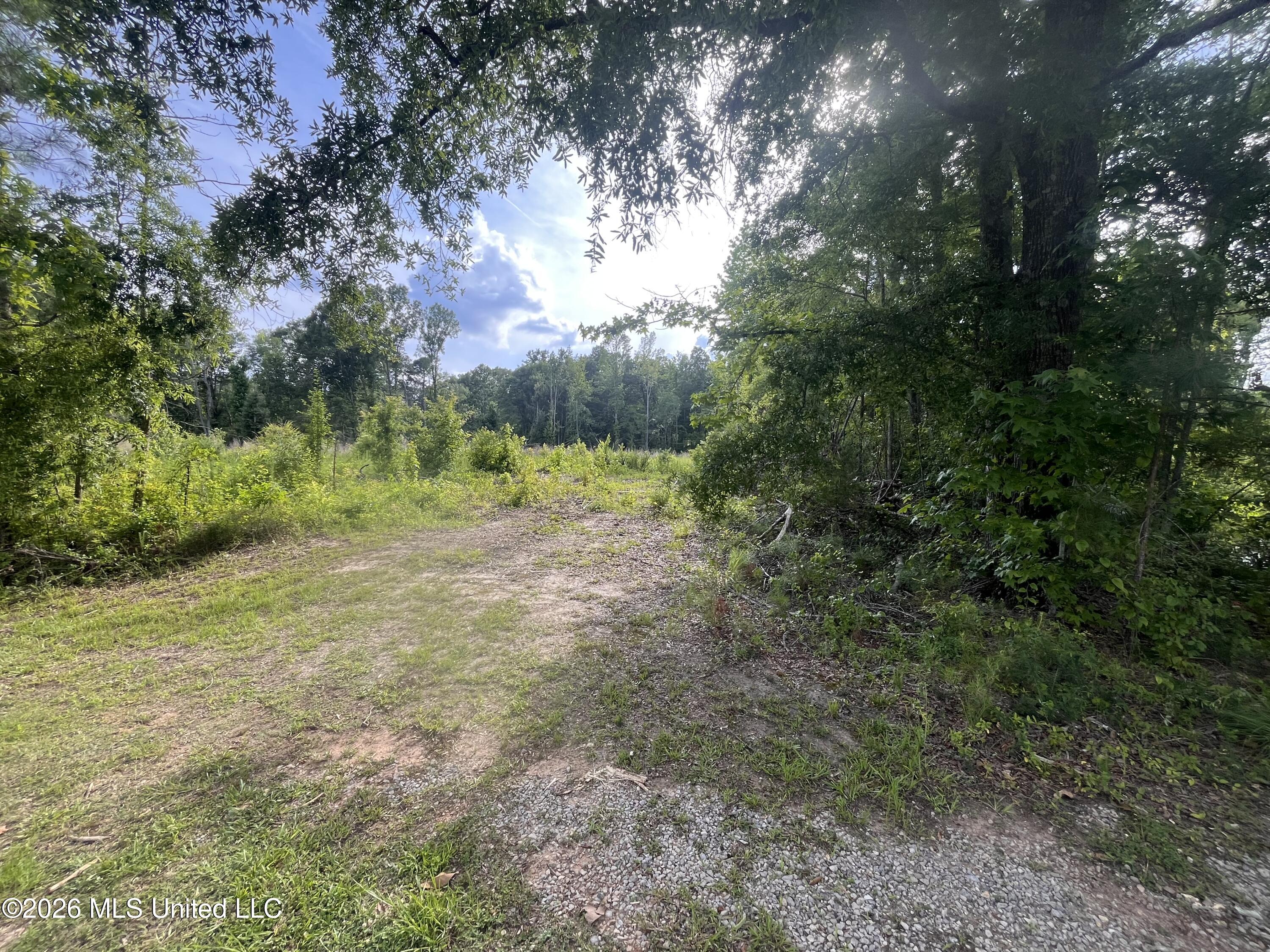 0 Pettey Road Forest, MS 39074 - Photo 1 of 15 IMG_4089
